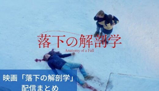 映画「落下の解剖学」どこで見れる？動画を無料視聴できるサブスク配信まとめ